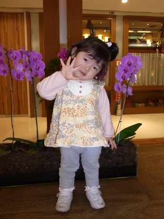 Momoe - Daminha